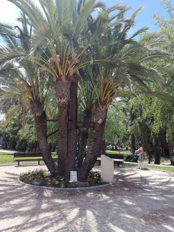 Apartment Fuente De Luz Alicante Ngoại thất bức ảnh